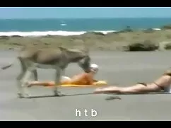Yenileme ve hazır için Sikme porno amator anal